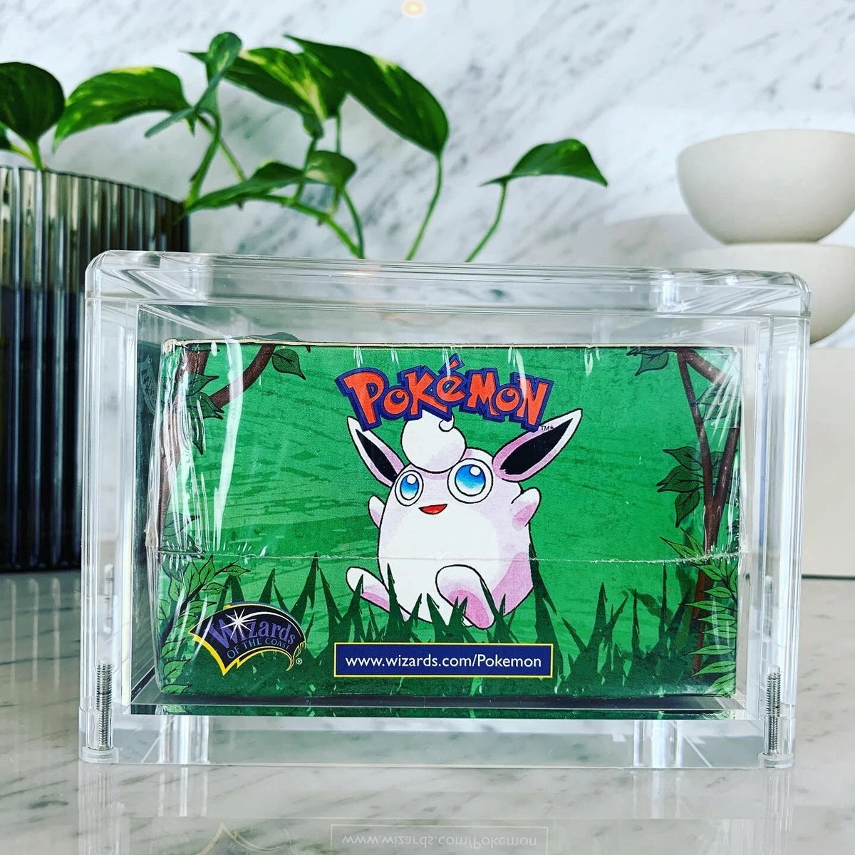 Jungle Red Logo Pokemon Booster Box 36 Packs Sealed Unlimited English | Made AUS